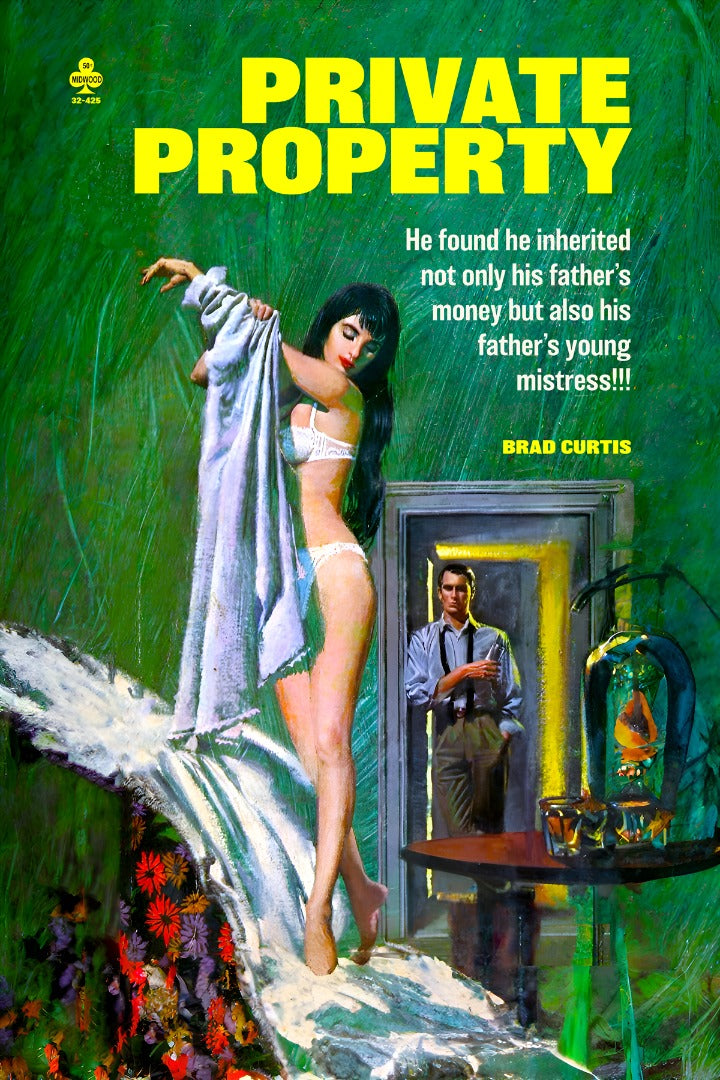 Private Property Pulp Novel Cover Sleaze Fiction